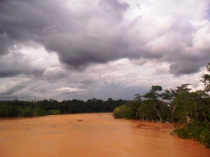 Alagação anual inunda floresta amazônica (Foto Fabiana Chaves)
